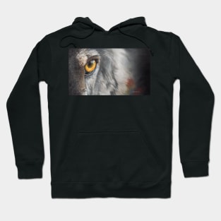 Hello Darkness My Old Friend - wolf eye closeup Hoodie